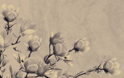 Psychanalyse pour résoudre un deuil pathologique proche Juvisy-sur-Orge Essonne 91