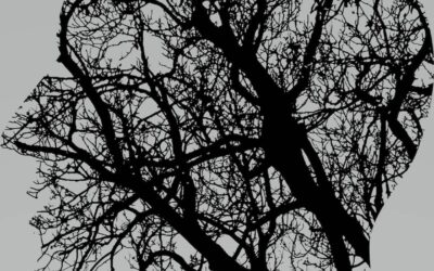 Voir un psychologue pour le traitement de migraines chroniques proche Saint-Michel-sur-Orge Essonne 91